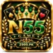 N55